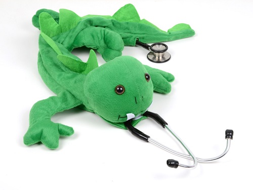 Paediatric Stethoscope Cover Dragon